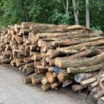 Waldkiefer-Stammholz
